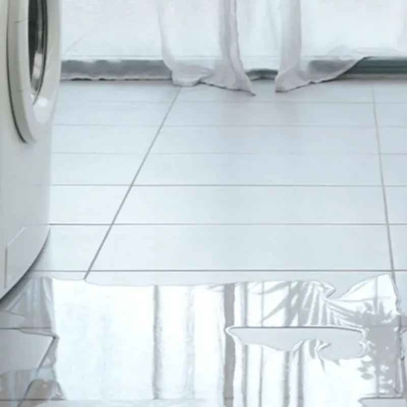 Appliance Leak Cleanup in Ladera Ranch, CA