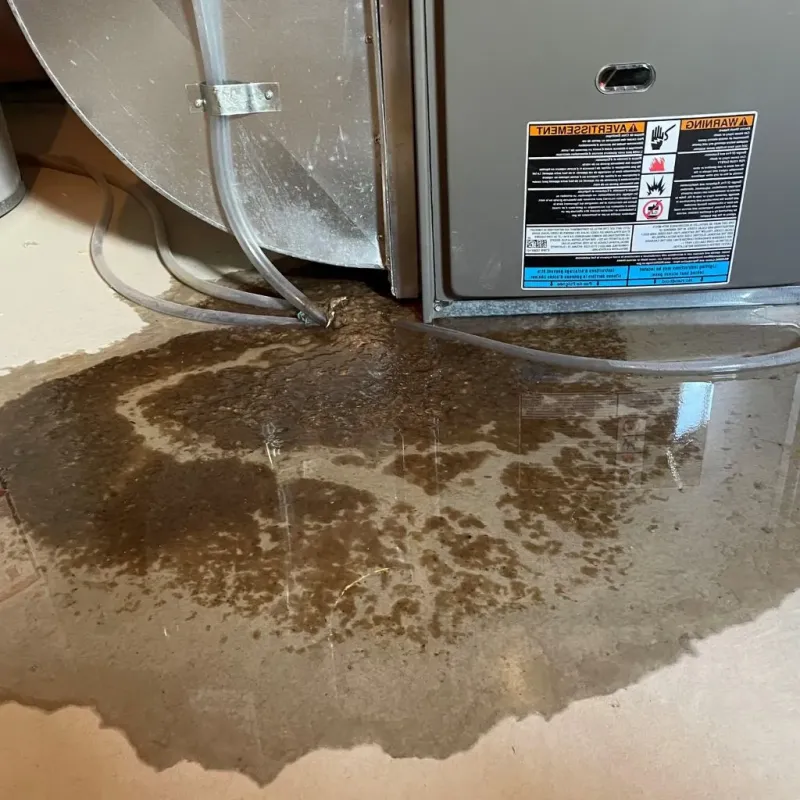 Pipe Burst and Leak Restoration in Ladera Ranch, CA